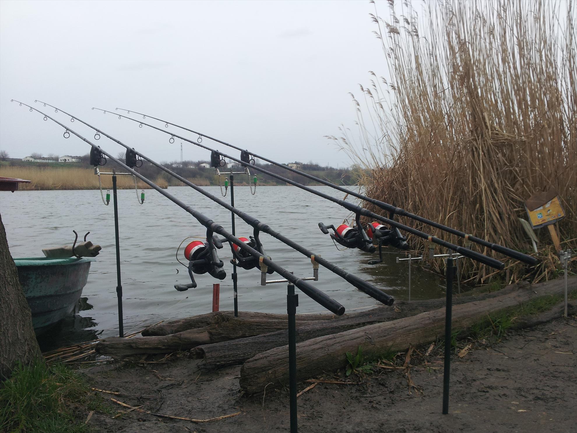 tancabesti  5-6 aprilie 2013 - 20130405181806.jpg